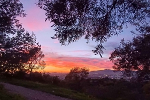 Visita guiada a pie por las Colinas Occidentales de Atenas