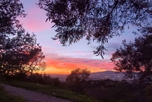 Visita guiada a pé às colinas ocidentais de Atenas