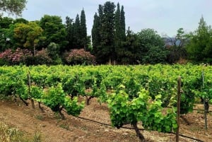 Athens Wine Experience & Sunset Escape