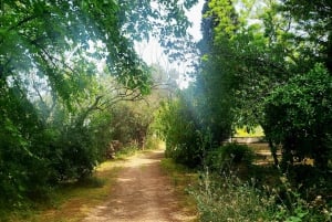 Athens Wine Experience & Sunset Escape