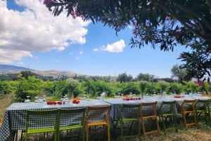 Athens Wine Experience & Sunset Escape