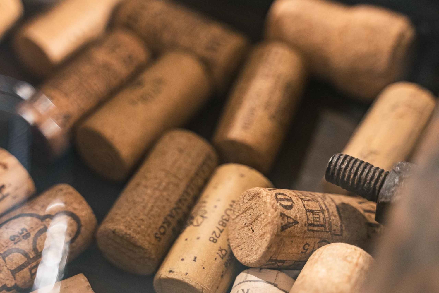 Aten: Vinsmaking i Great Rosé Wines of Greece