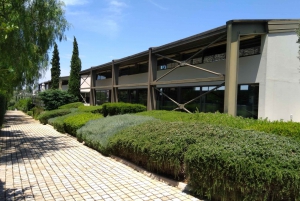 Athens Winery Tour