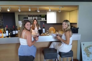 Omvisning på vingård i Athen