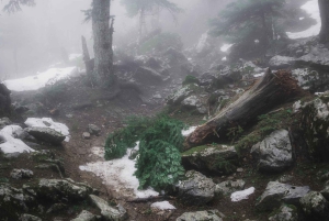 Attica Photo Adventure