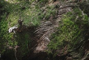 Attica Photo Adventure