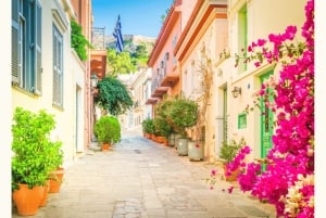 Best of Athens Half-Day Private Tour