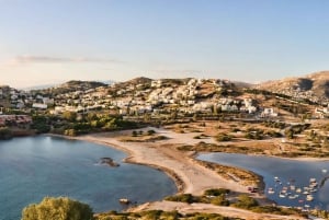 Kap Sounio 4 timmars privat tur från Aten