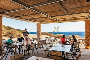 Cape Sounion with Official Guide to the Temple of Poseidon