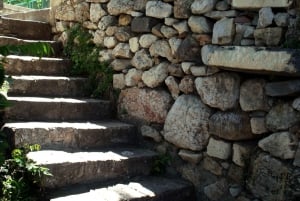 Cats of Athens: Self-Guided Mobile Tour in Plaka