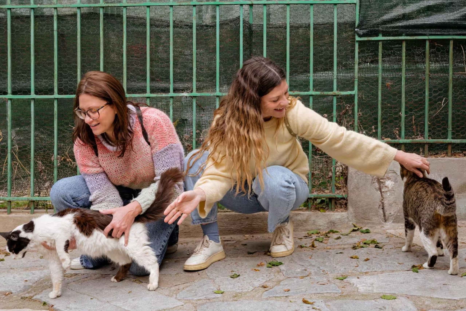 Cats of Athens - Walking Tour