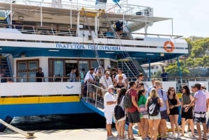 Combo: Acropolis Ticket & Saronic Swimming Cruise Experience