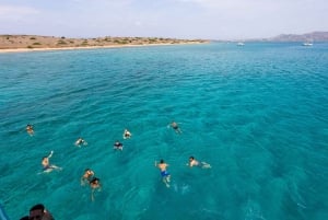Combo: Acropolis Ticket & Saronic Swimming Cruise Experience