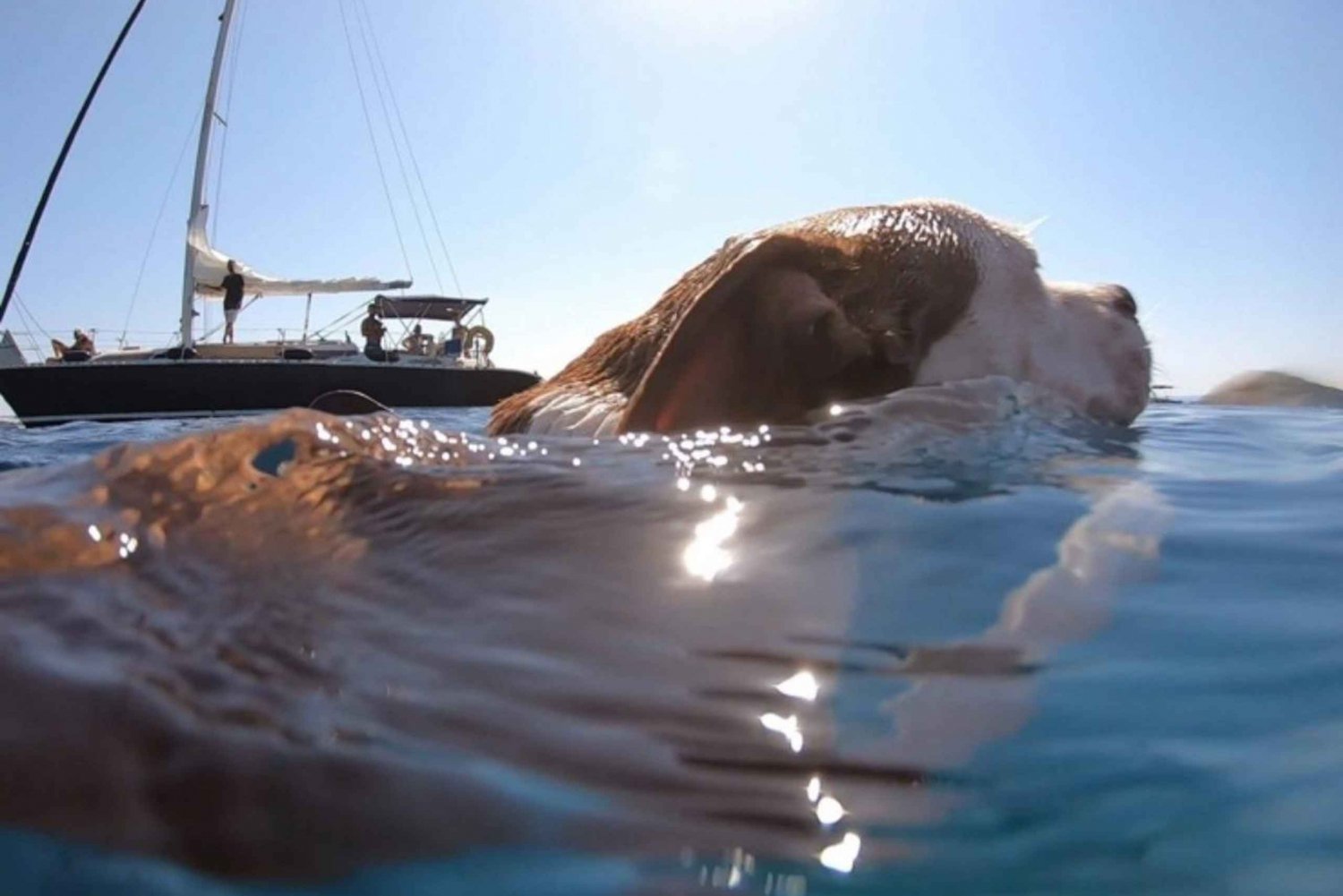 Daily cruise in Athenian Riviera