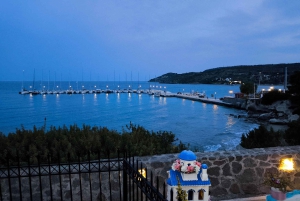 Daily Tour on Aegina sights by SUV and swimming in the sea