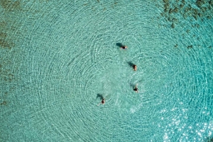 Tageskreuzfahrt 'Hydra, Poros, Aegina' Das VIP Ticets Erlebnis