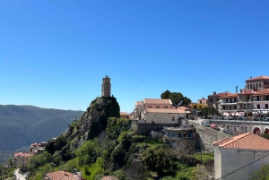 Fra Athen: Delfi og Arachova privat tur