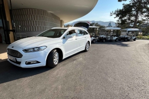 Fra Athen: Delfi og Arachova privat tur