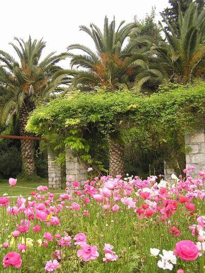 Diomidous Botanical Garden