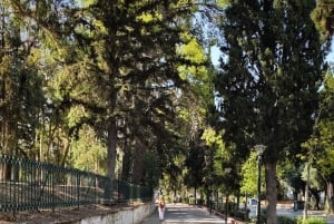 Odkryj Nea Filadelfeia: wycieczka piesza poza centrum Aten