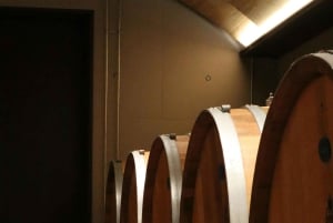 Drømmereise til Athen: Guidet tur til Akropolis og vinprovning