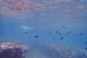 Det antikke teateret i Epidaurus og snorkling i den sunkne byen