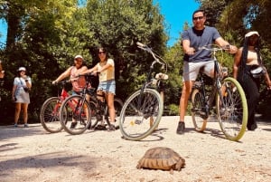 . Explora Atenas en bicicleta: Recorrido en bicicleta por Atenas