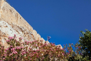 Explore the Acropolis & Museum Private Tour with a Local