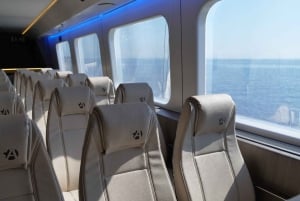 Ferry Journey between Athens and Spetses Island