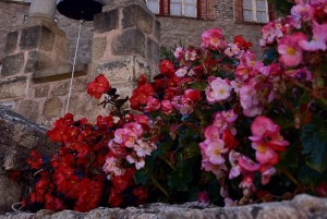 De Atenas: 2 dias em Delfos e Meteora 【Guia turístico chinês】