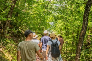 Desde Atenas: 3 días en Meteora y Delfos con visitas guiadas y hotel