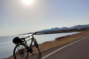 Ateenasta: Aegina Island E-Bike Tour with Ferry Tickets: Aegina Island E-Bike Tour with Ferry Tickets