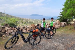 Z Aten: Wycieczka rowerowa na wyspę Egina z biletami na prom