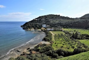 Desde Atenas: Excursión en bicicleta eléctrica por la isla de Egina con billetes de ferry