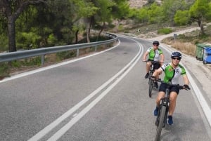 Fra Athen: E-Bike-tur til øya Aegina med fergebilletter