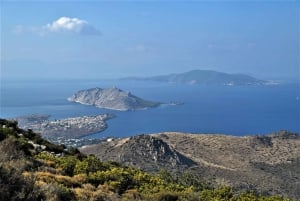 Z Aten: Wycieczka rowerowa na wyspę Egina z biletami na prom