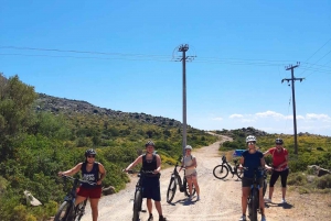 Ateenasta: Aegina Island E-Bike Tour with Ferry Tickets: Aegina Island E-Bike Tour with Ferry Tickets
