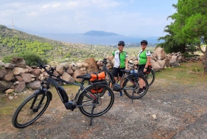 Depuis Athènes : Excursion à vélo électronique sur l'île d'Égine avec billets de ferry