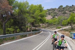 Depuis Athènes : Excursion à vélo électronique sur l'île d'Égine avec billets de ferry
