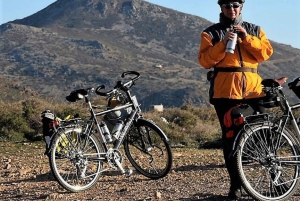 Depuis Athènes : Excursion à vélo électronique sur l'île d'Égine avec billets de ferry