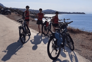 Depuis Athènes : Excursion à vélo électronique sur l'île d'Égine avec billets de ferry