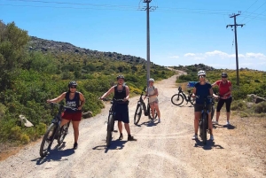 Depuis Athènes : Excursion à vélo électronique sur l'île d'Égine avec billets de ferry
