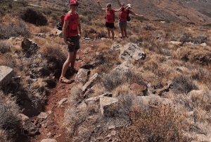 Depuis Athènes : Excursion à vélo électronique sur l'île d'Égine avec billets de ferry