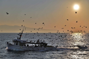 Depuis Athènes : Excursion à vélo électronique sur l'île d'Égine avec billets de ferry