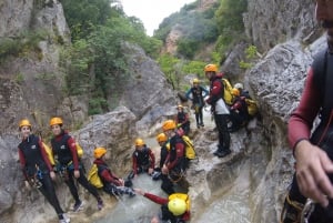 From Athens: Agios Loukas Gorge Canyoning Experience