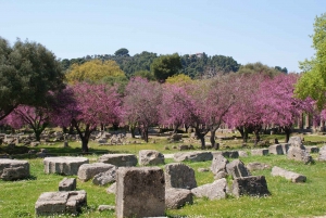 アテネから：古代ギリシャとザキントスのプライベート5日間旅行