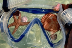 From Athens: Athens Riviera Swimming Cruise with Buffet & DJ