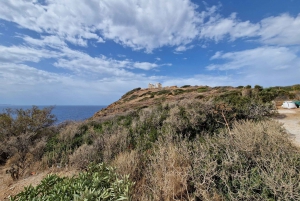 From Athens: Cape Sounio & Temple of Poseidon Day Trip