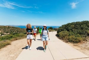 Da Atene: Tour guidato di Capo Sounion in kayak con pranzo