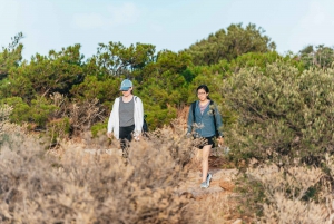 From Athens: Cape Sounion & Temple of Poseidon Half Day Tour